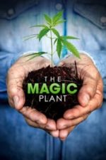 The Magic Plant (2020)