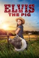 Layarkaca21 LK21 Dunia21 Nonton Film Elvis the Pig (2023) Subtitle Indonesia Streaming Movie Download