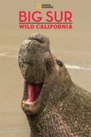 Layarkaca21 LK21 Dunia21 Nonton Film Big Sur-Wild California (2010) Subtitle Indonesia Streaming Movie Download