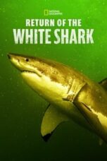 Poster Film Return of the White Shark (2023)