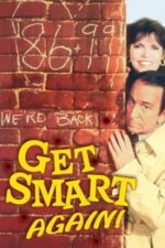 Get Smart, Again! (1989)