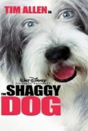 Layarkaca21 LK21 Dunia21 Nonton Film The Shaggy Dog (2006) Subtitle Indonesia Streaming Movie Download