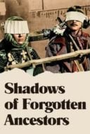 Layarkaca21 LK21 Dunia21 Nonton Film Shadows of Forgotten Ancestors (1965) Subtitle Indonesia Streaming Movie Download