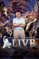 Layarkaca21 LK21 Dunia21 Nonton Film David Attenborough’s Natural History Museum Alive (2014) Subtitle Indonesia Streaming Movie Download