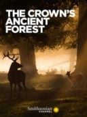 Layarkaca21 LK21 Dunia21 Nonton Film The Crown’s Ancient Forest (2021) Subtitle Indonesia Streaming Movie Download