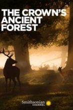 Nonton Film The Crown’s Ancient Forest (2021) Subtitle Indonesia Streaming Movie Download