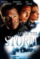 Layarkaca21 LK21 Dunia21 Nonton Film After the Storm (2001) Subtitle Indonesia Streaming Movie Download