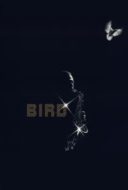 Layarkaca21 LK21 Dunia21 Nonton Film Bird (1988) Subtitle Indonesia Streaming Movie Download