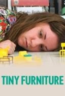 Layarkaca21 LK21 Dunia21 Nonton Film Tiny Furniture (2010) Subtitle Indonesia Streaming Movie Download