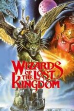 Poster Film Wizards of the Lost Kingdom (1985)