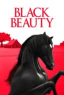 Layarkaca21 LK21 Dunia21 Nonton Film Black Beauty (1971) Subtitle Indonesia Streaming Movie Download