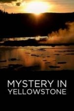 Mystery in Yellowstone (2015)