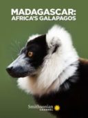 Layarkaca21 LK21 Dunia21 Nonton Film Madagascar: Africa’s Galapagos (2019) Subtitle Indonesia Streaming Movie Download