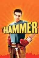 Layarkaca21 LK21 Dunia21 Nonton Film The Hammer (2007) Subtitle Indonesia Streaming Movie Download