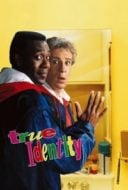 Layarkaca21 LK21 Dunia21 Nonton Film True Identity (1991) Subtitle Indonesia Streaming Movie Download