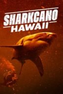 Layarkaca21 LK21 Dunia21 Nonton Film Sharkcano: Hawaii (2023) Subtitle Indonesia Streaming Movie Download