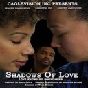 Layarkaca21 LK21 Dunia21 Nonton Film Shadows of Love (2012) Subtitle Indonesia Streaming Movie Download