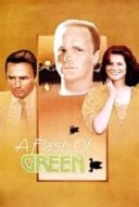 Layarkaca21 LK21 Dunia21 Nonton Film A Flash of Green (1984) Subtitle Indonesia Streaming Movie Download