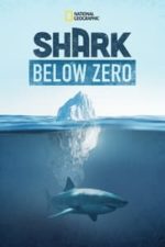 Shark Below Zero (2023)