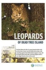 Leopards of Dead Tree Island (2010)