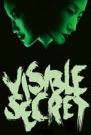 Layarkaca21 LK21 Dunia21 Nonton Film Visible Secret (2001) Subtitle Indonesia Streaming Movie Download