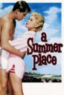 Layarkaca21 LK21 Dunia21 Nonton Film A Summer Place (1959) Subtitle Indonesia Streaming Movie Download