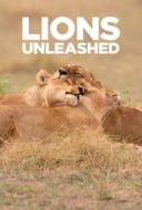 Layarkaca21 LK21 Dunia21 Nonton Film Lions Unleashed (2017) Subtitle Indonesia Streaming Movie Download