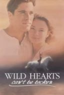 Layarkaca21 LK21 Dunia21 Nonton Film Wild Hearts Can’t Be Broken (1991) Subtitle Indonesia Streaming Movie Download