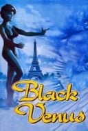 Layarkaca21 LK21 Dunia21 Nonton Film Black Venus (1983) Subtitle Indonesia Streaming Movie Download