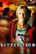 Layarkaca21 LK21 Dunia21 Nonton Film Little Fish (2005) Subtitle Indonesia Streaming Movie Download