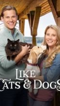 Nonton Film Like Cats & Dogs (2017) Subtitle Indonesia Streaming Movie Download