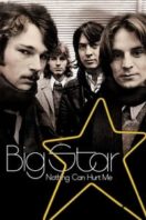 Layarkaca21 LK21 Dunia21 Nonton Film Big Star: Nothing Can Hurt Me (2013) Subtitle Indonesia Streaming Movie Download