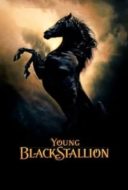 Layarkaca21 LK21 Dunia21 Nonton Film Young Black Stallion (2003) Subtitle Indonesia Streaming Movie Download