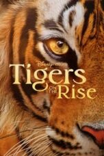 Poster Film Tigers on the Rise (2024)
