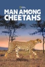 Man Among Cheetahs (2017)