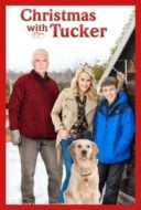 Layarkaca21 LK21 Dunia21 Nonton Film Christmas with Tucker (2013) Subtitle Indonesia Streaming Movie Download