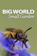 Layarkaca21 LK21 Dunia21 Nonton Film Big World In A Small Garden (2017) Subtitle Indonesia Streaming Movie Download