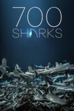 700 Sharks (2018)