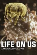 Layarkaca21 LK21 Dunia21 Nonton Film Life on Us: A Microscopic Safari (2014) Subtitle Indonesia Streaming Movie Download