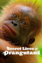 Nonton Film Secret Lives of Orangutans (2024) Subtitle Indonesia Streaming Movie Download