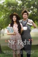 Layarkaca21 LK21 Dunia21 Nonton Film Mr. Right (2023) Subtitle Indonesia Streaming Movie Download