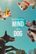 Layarkaca21 LK21 Dunia21 Nonton Film Inside the Mind of a Dog (2024) Subtitle Indonesia Streaming Movie Download