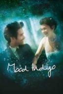 Layarkaca21 LK21 Dunia21 Nonton Film Mood Indigo (2013) Subtitle Indonesia Streaming Movie Download