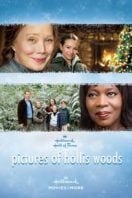 Layarkaca21 LK21 Dunia21 Nonton Film Pictures of Hollis Woods (2007) Subtitle Indonesia Streaming Movie Download