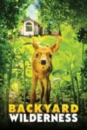 Layarkaca21 LK21 Dunia21 Nonton Film Backyard Wilderness (2018) Subtitle Indonesia Streaming Movie Download