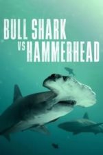 Bull Shark vs. Hammerhead (2023)