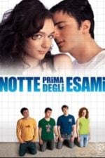 The Night Before the Exams (2006)