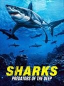 Layarkaca21 LK21 Dunia21 Nonton Film Sharks: Predators of the Deep (2024) Subtitle Indonesia Streaming Movie Download