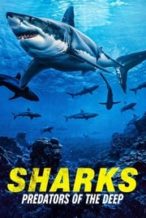 Nonton Film Sharks: Predators of the Deep (2024) Subtitle Indonesia Streaming Movie Download