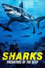 Sharks: Predators of the Deep (2024)